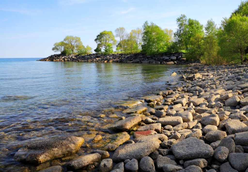 Verano en Cleveland: Un picnic perfecto en Edgewater Park