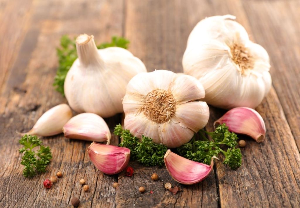 Sabores de ajo se degustarán en Cleveland, ¿qué les espera?